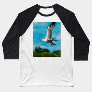 Spread Wings. Seagull Photograph Baseball T-Shirt